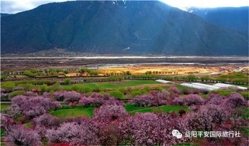 圣洁西藏双卧11日