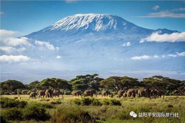 发现非洲体验之旅肯尼亚10游